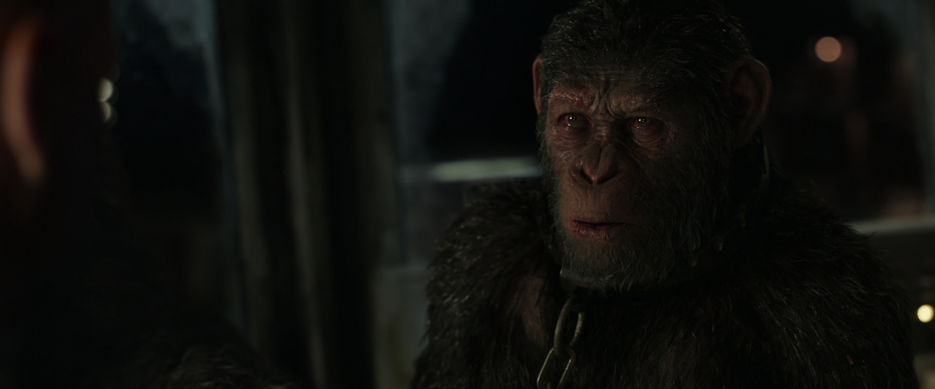 War for the Planet of the Apes (2017) screencap 9858