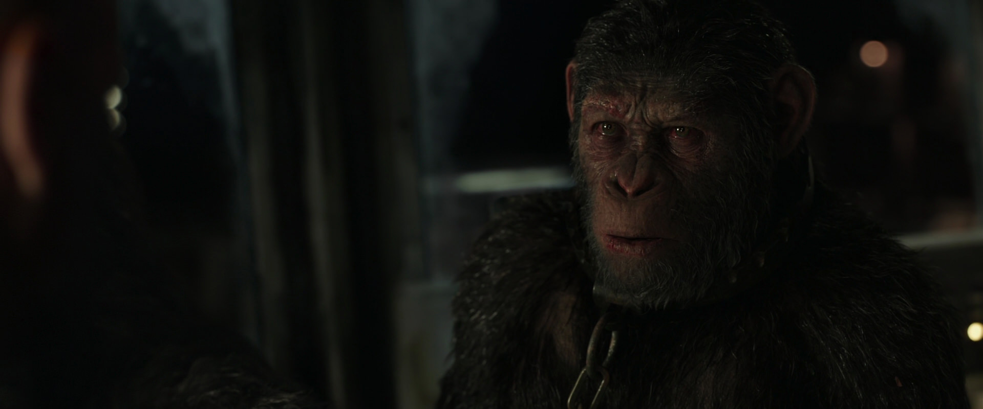 War for the Planet of the Apes (2017) movie still 9859