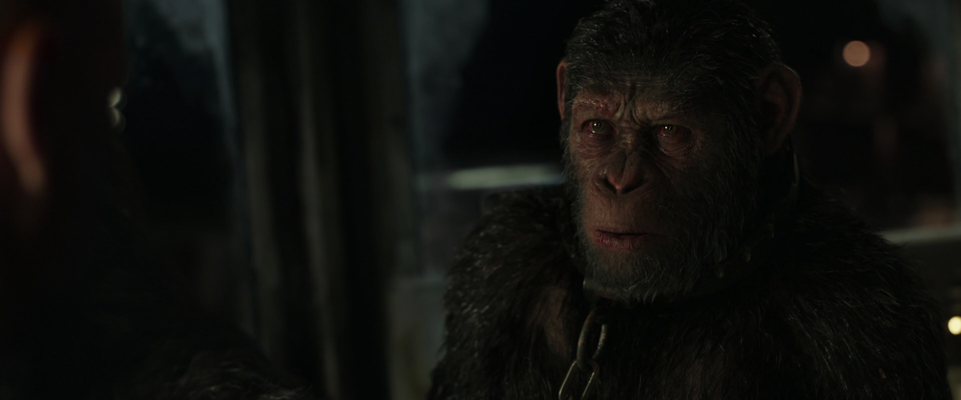 War for the Planet of the Apes (2017) HD screenshot 9860