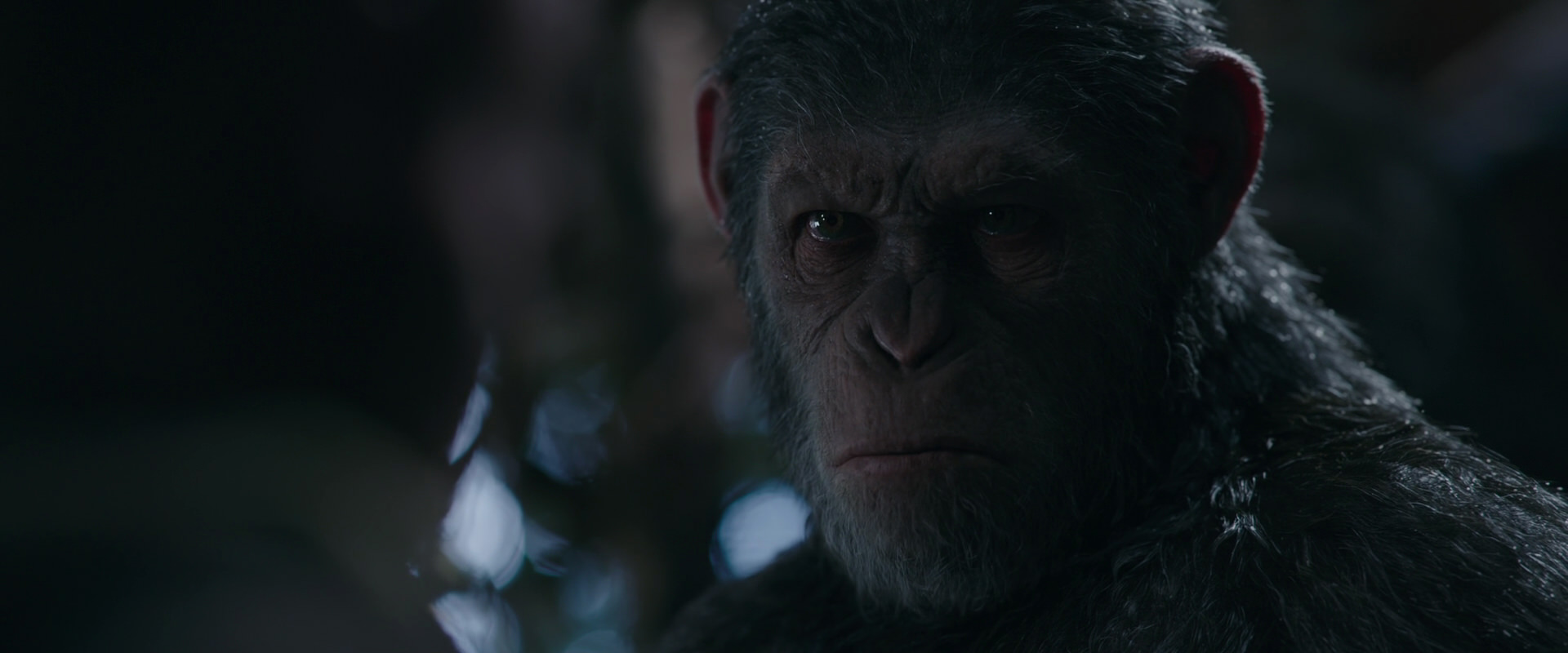 War for the Planet of the Apes (2017) movie still 988