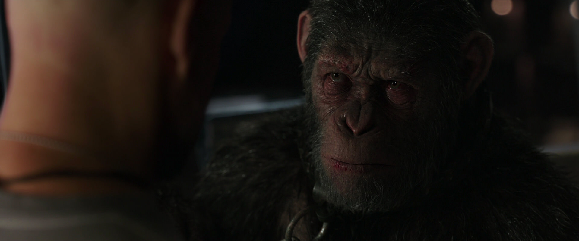War for the Planet of the Apes (2017) movie still 9883