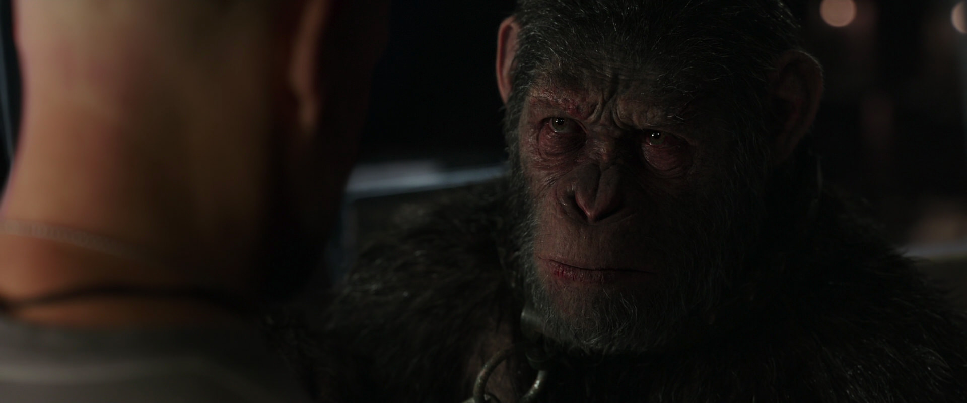 War for the Planet of the Apes (2017) HD screenshot 9884