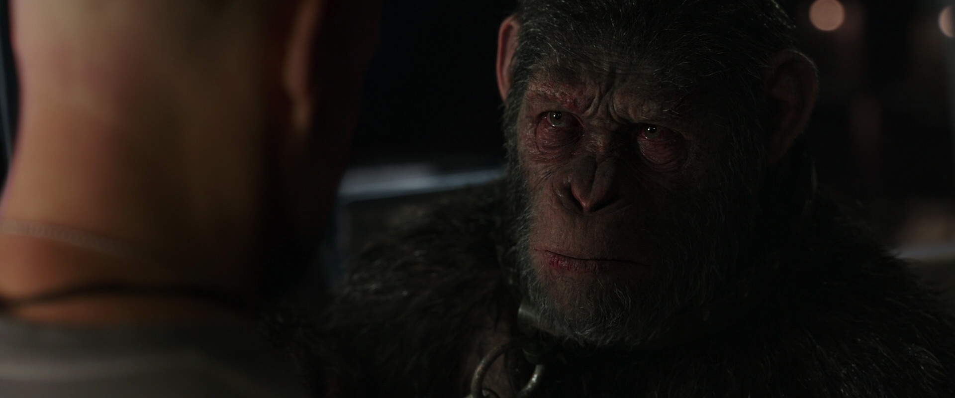 War for the Planet of the Apes (2017) movie still 9886