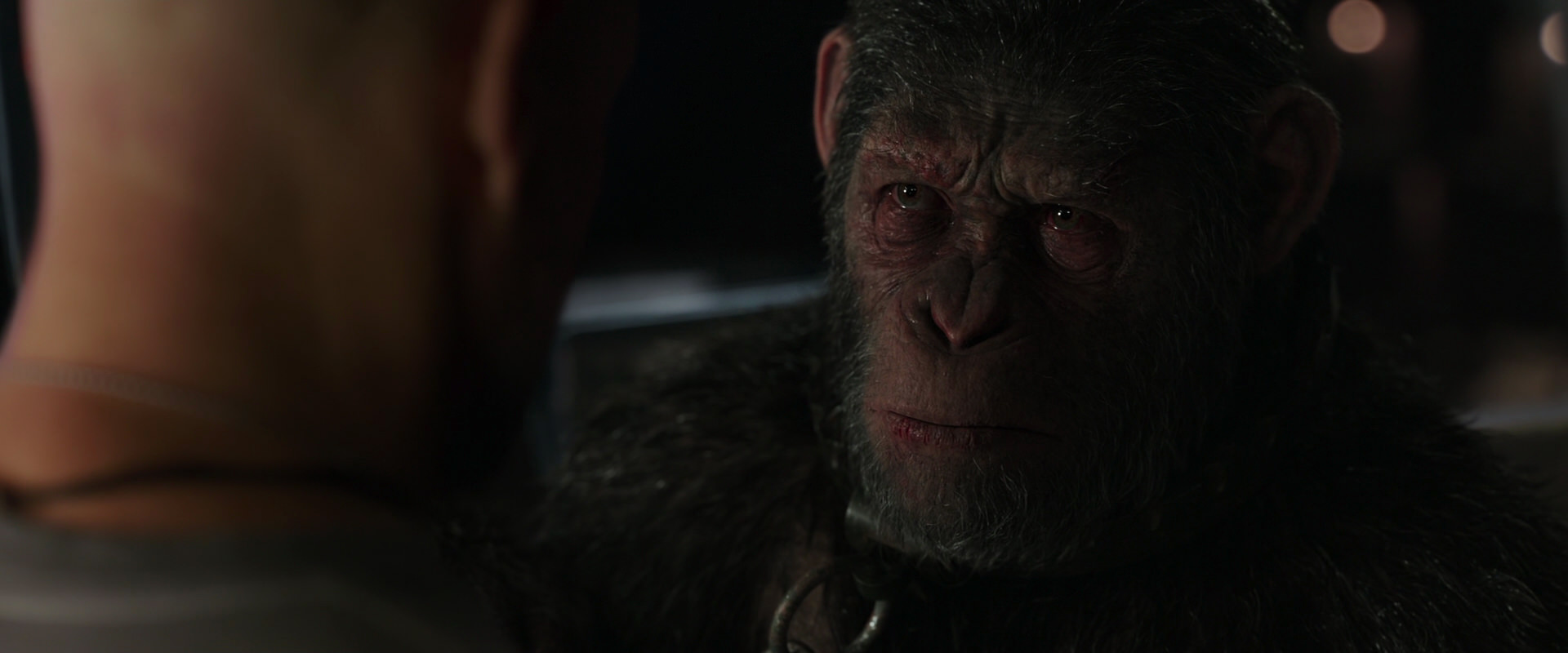 War for the Planet of the Apes (2017) HD screenshot 9887