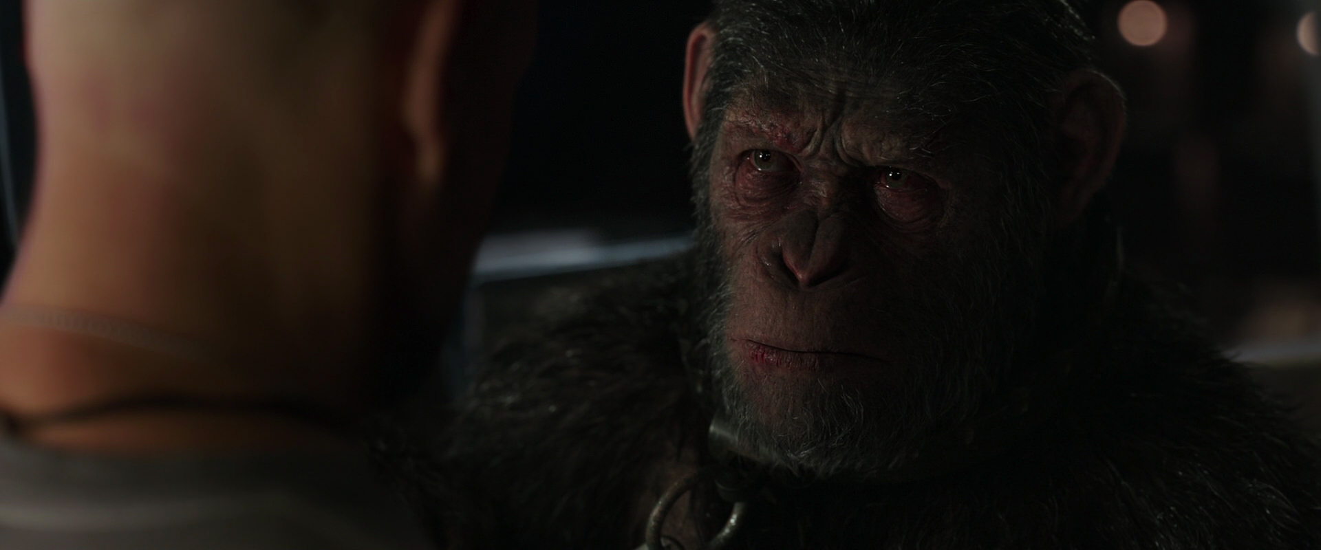 War for the Planet of the Apes (2017) screencap 9888