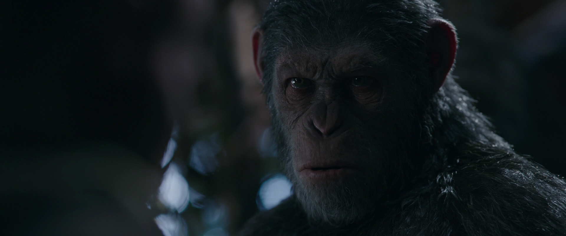War for the Planet of the Apes (2017) HD screenshot 989
