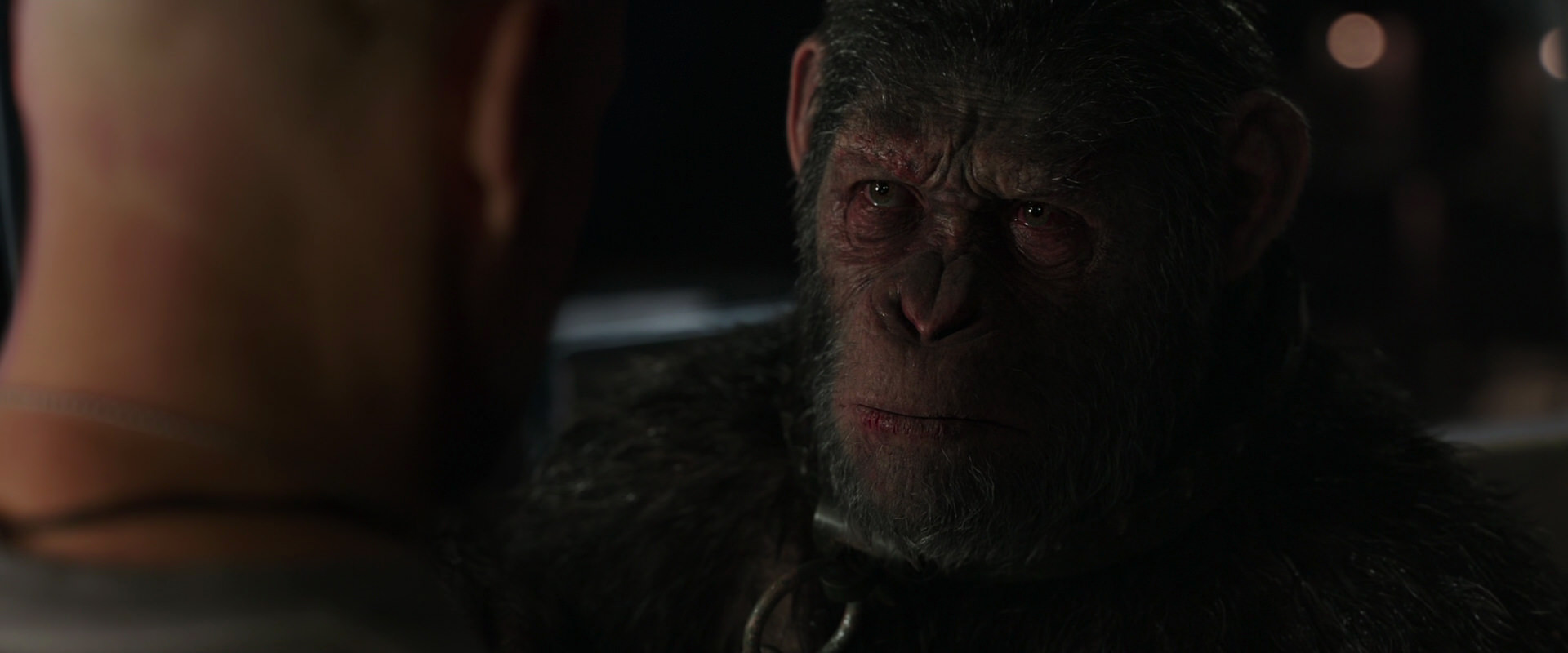 War for the Planet of the Apes (2017) screencap 9891