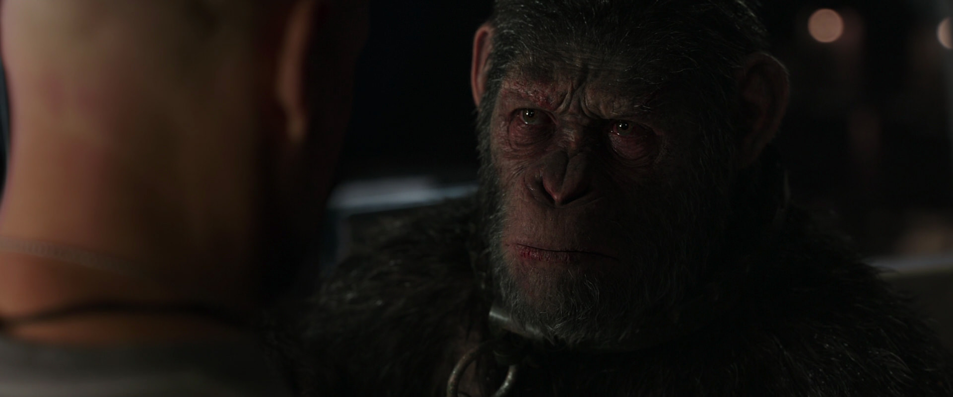 War for the Planet of the Apes (2017) movie still 9892