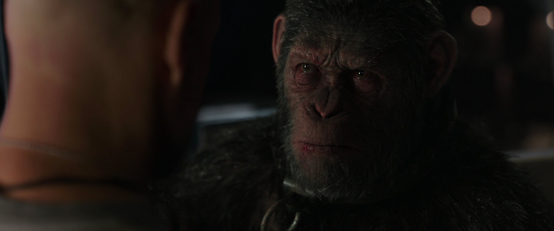 War for the Planet of the Apes (2017) screencap 9894