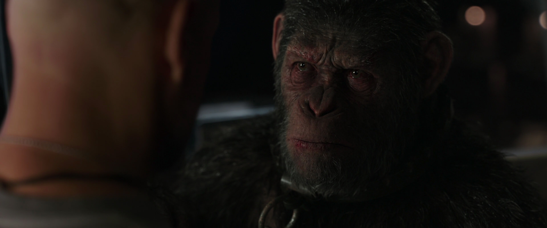 War for the Planet of the Apes (2017) movie still 9895
