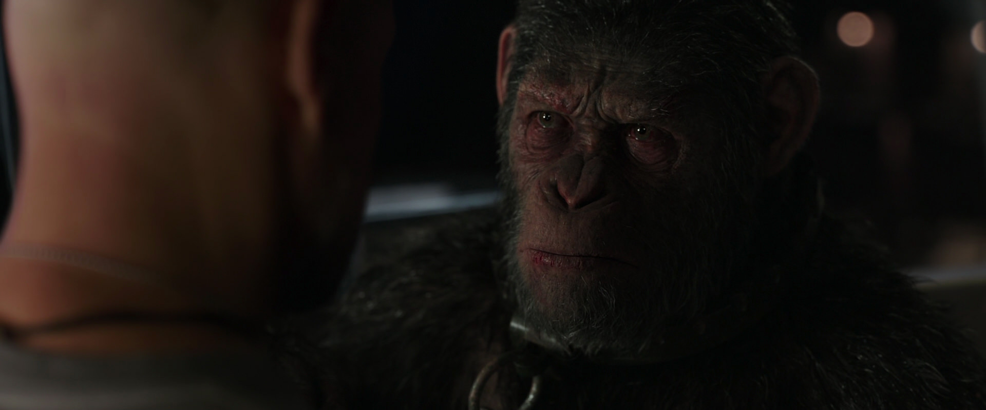 War for the Planet of the Apes (2017) HD screenshot 9896