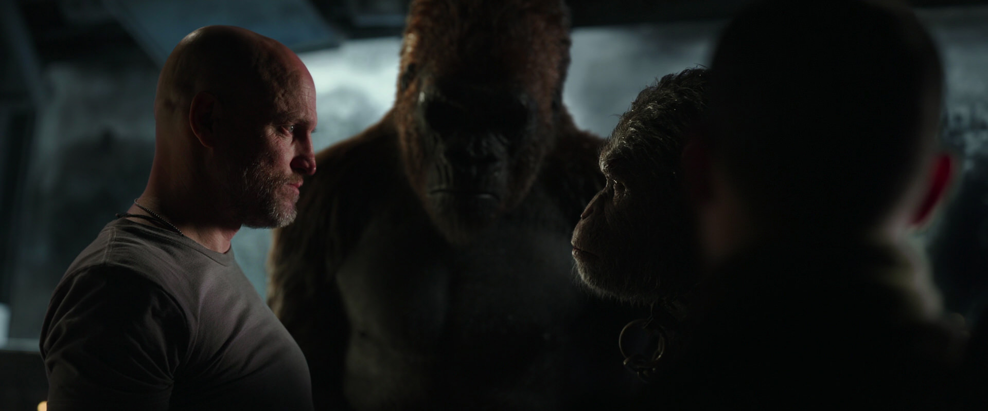 War for the Planet of the Apes (2017) screencap 9897