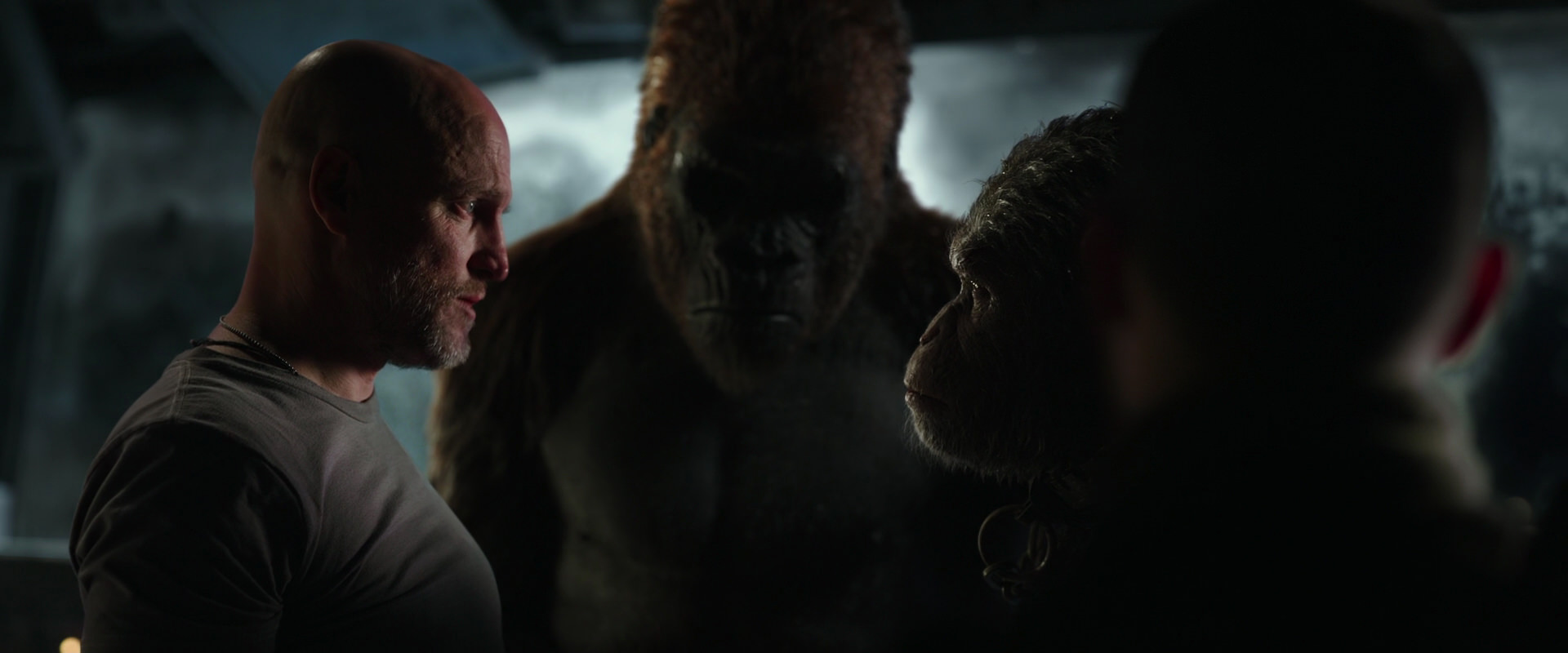 War for the Planet of the Apes (2017) movie still 9898