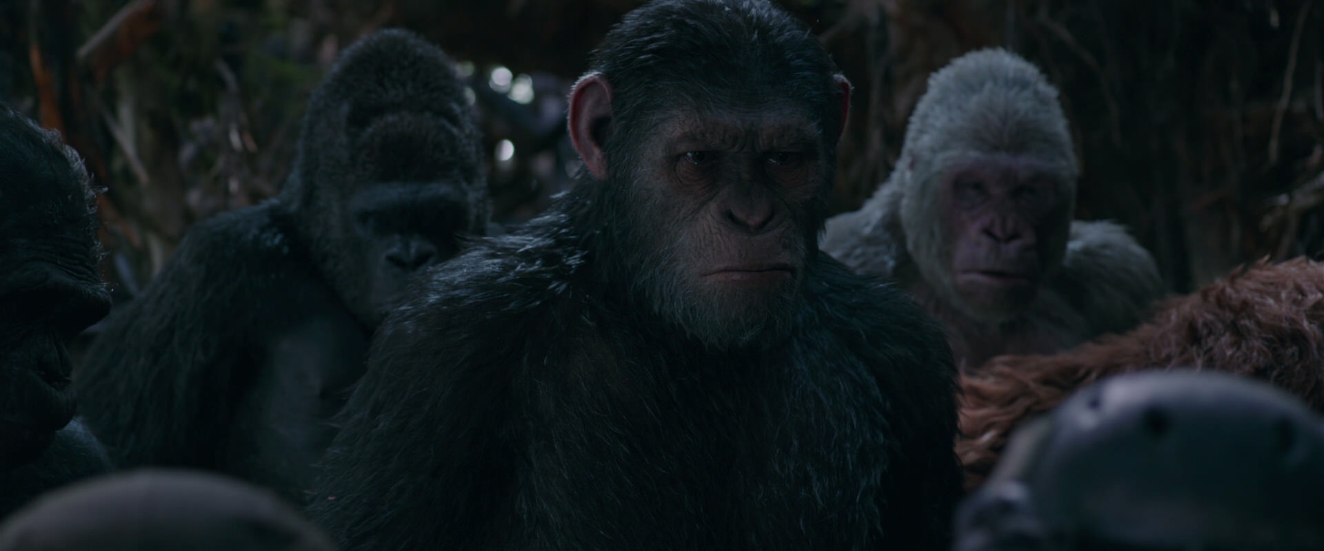 War for the Planet of the Apes (2017) movie still 991