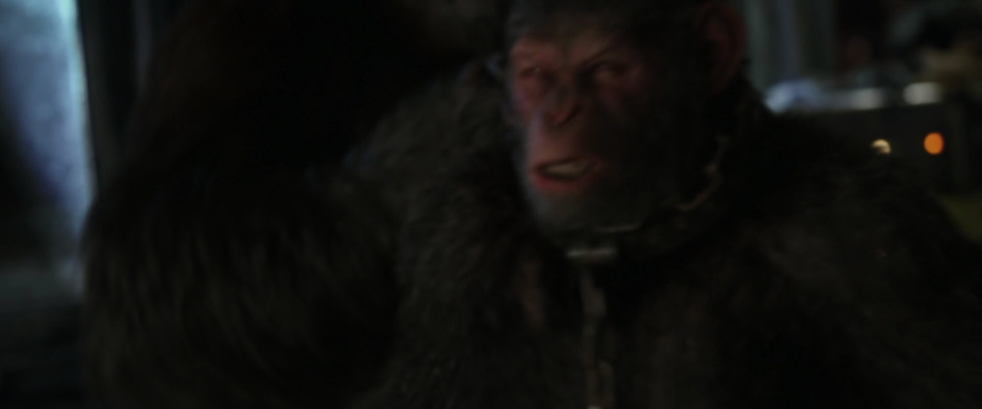 War for the Planet of the Apes (2017) screencap 9912