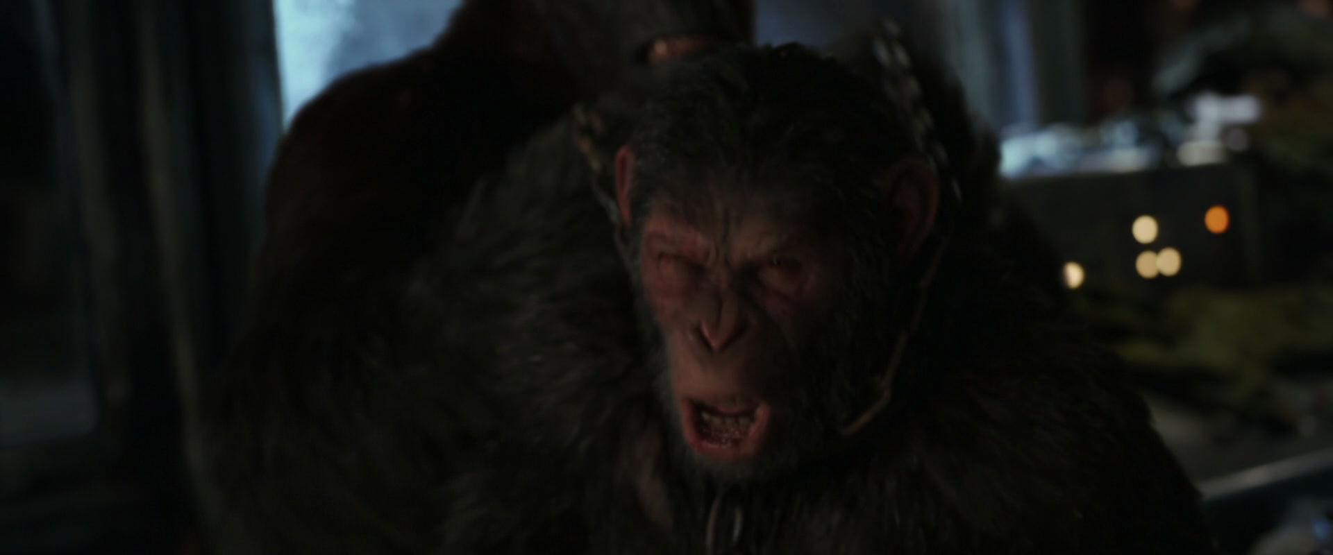War for the Planet of the Apes (2017) movie still 9913