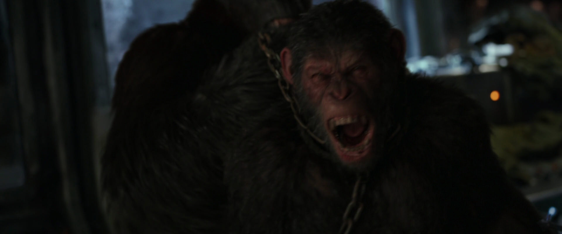 War for the Planet of the Apes (2017) HD screenshot 9914
