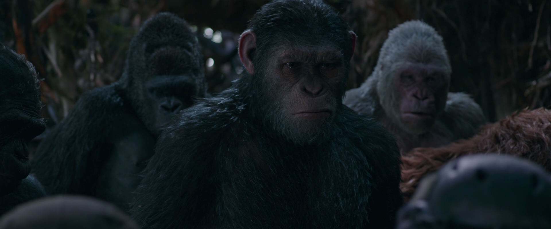 War for the Planet of the Apes (2017) HD screenshot 992