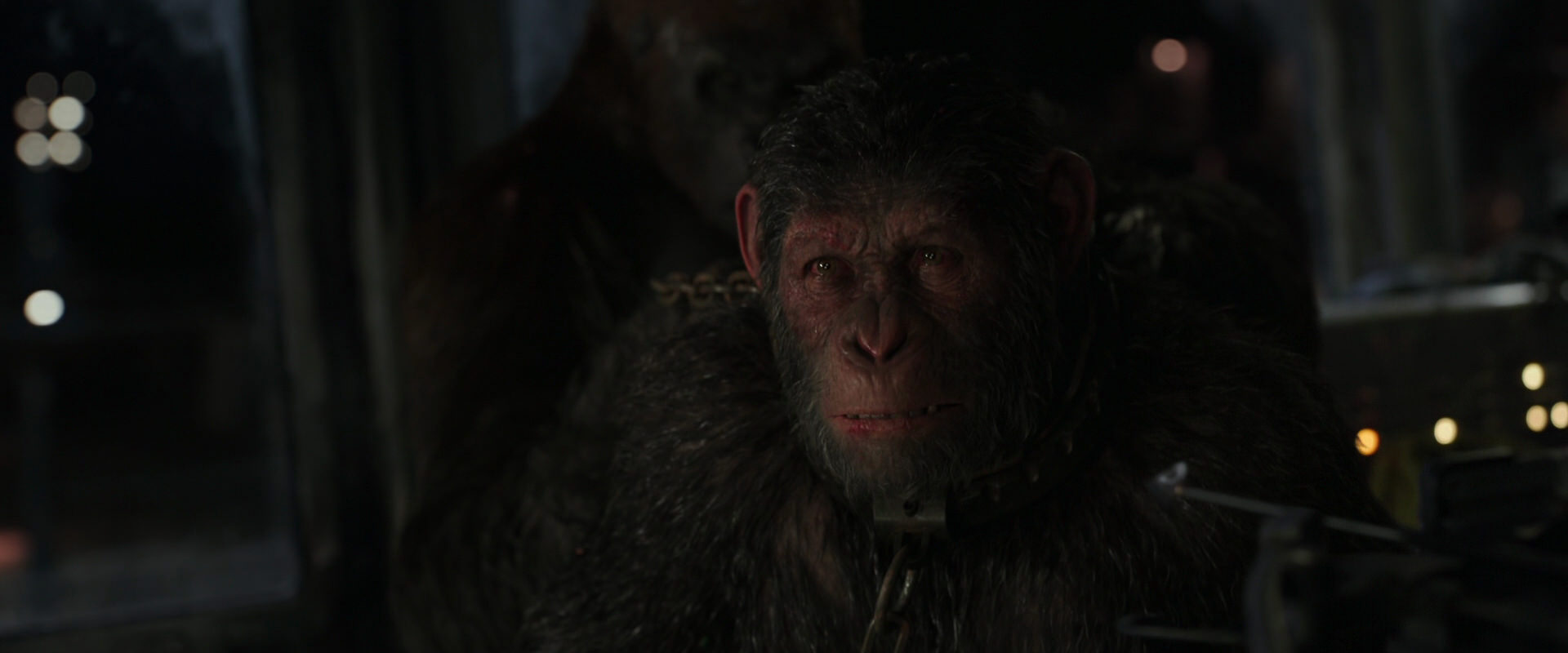 War for the Planet of the Apes (2017) HD screenshot 9926