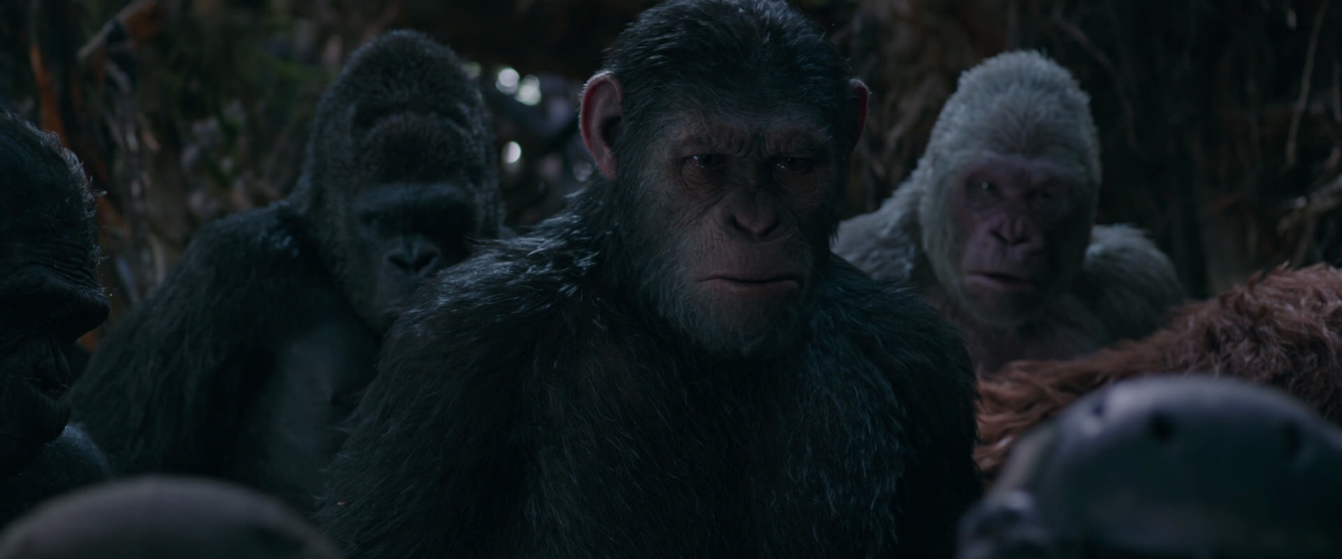 War for the Planet of the Apes (2017) screencap 993
