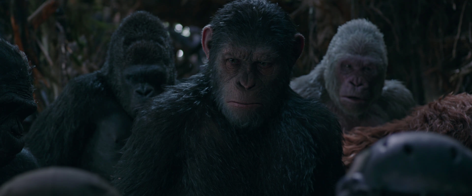 War for the Planet of the Apes (2017) HD screenshot 995