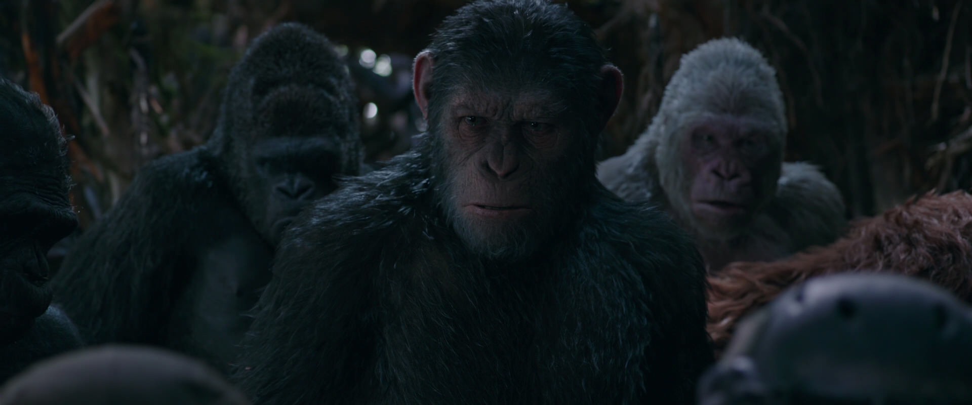 War for the Planet of the Apes (2017) screencap 996