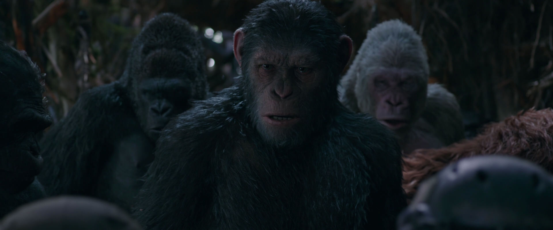 War for the Planet of the Apes (2017) movie still 997