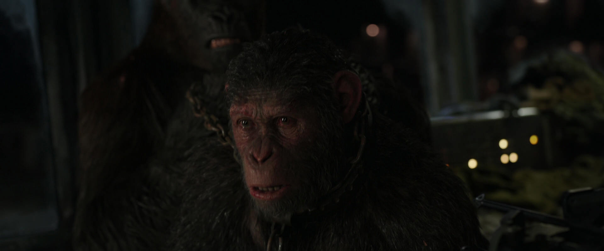 War for the Planet of the Apes (2017) movie still 9970