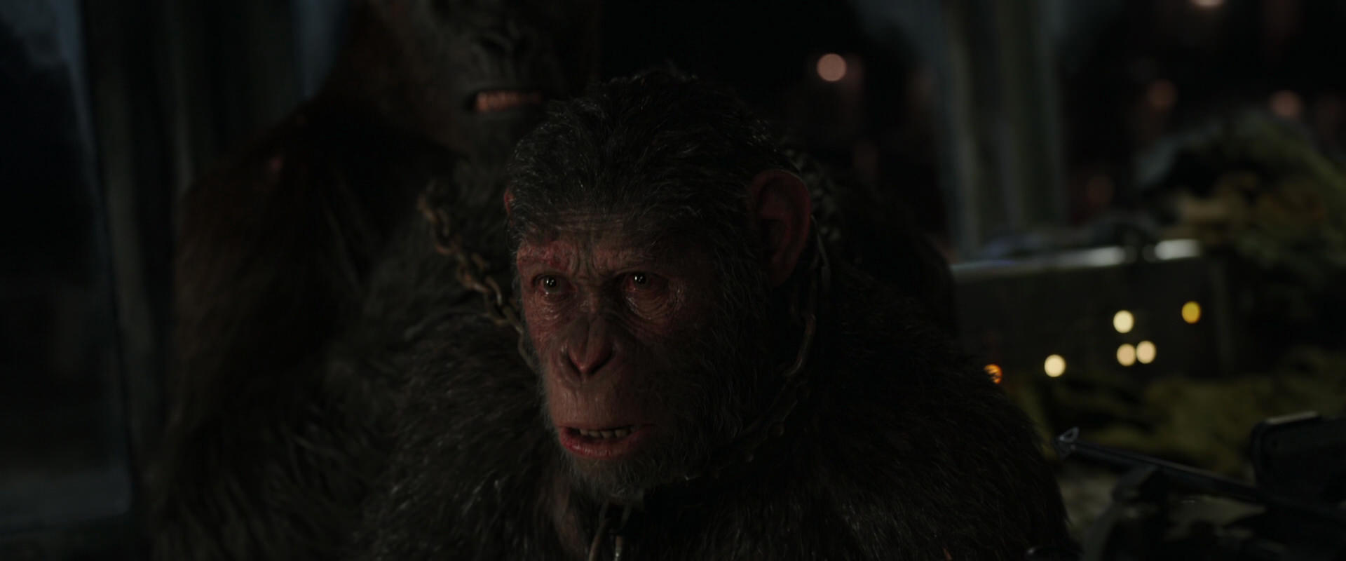 War for the Planet of the Apes (2017) HD screenshot 9971