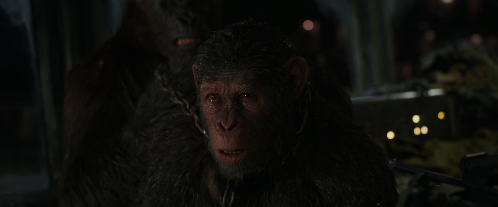 War for the Planet of the Apes (2017) screencap 9972