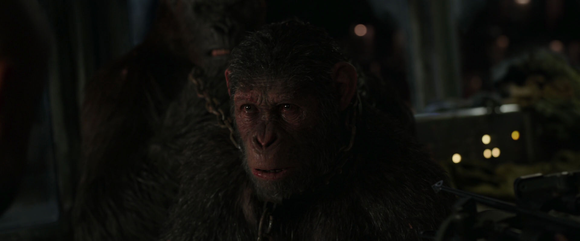 War for the Planet of the Apes (2017) HD screenshot 9974