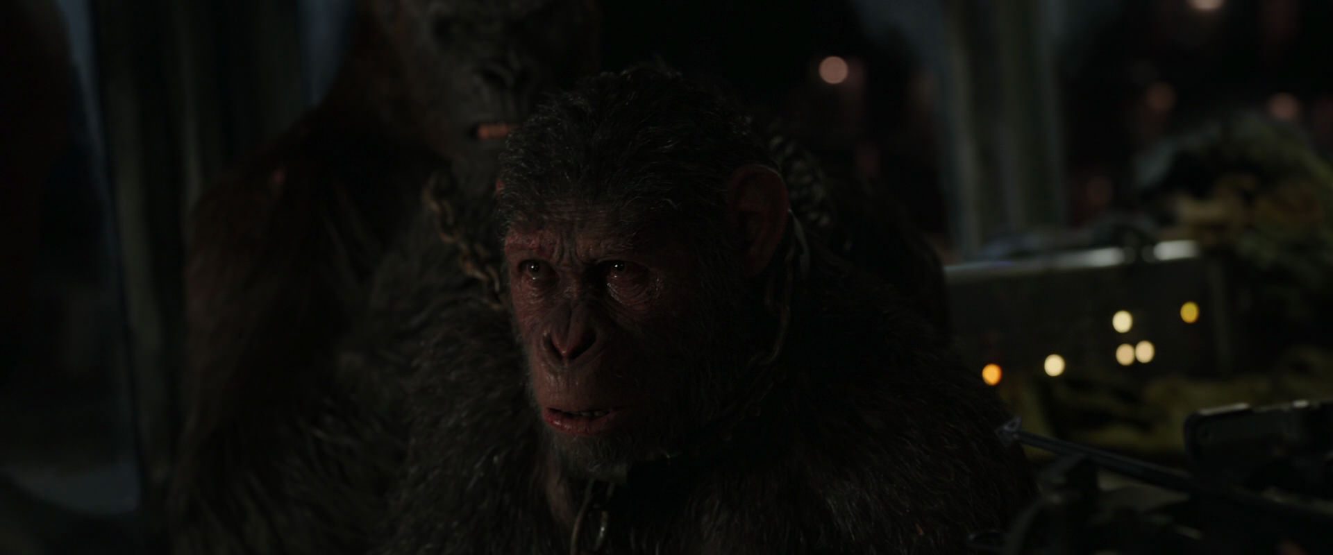 War for the Planet of the Apes (2017) screencap 9975