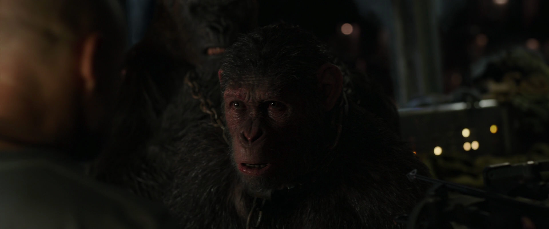 War for the Planet of the Apes (2017) movie still 9976