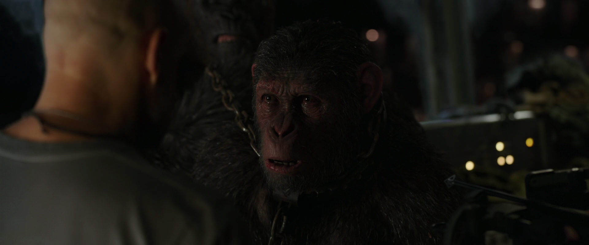 War for the Planet of the Apes (2017) movie still 9979