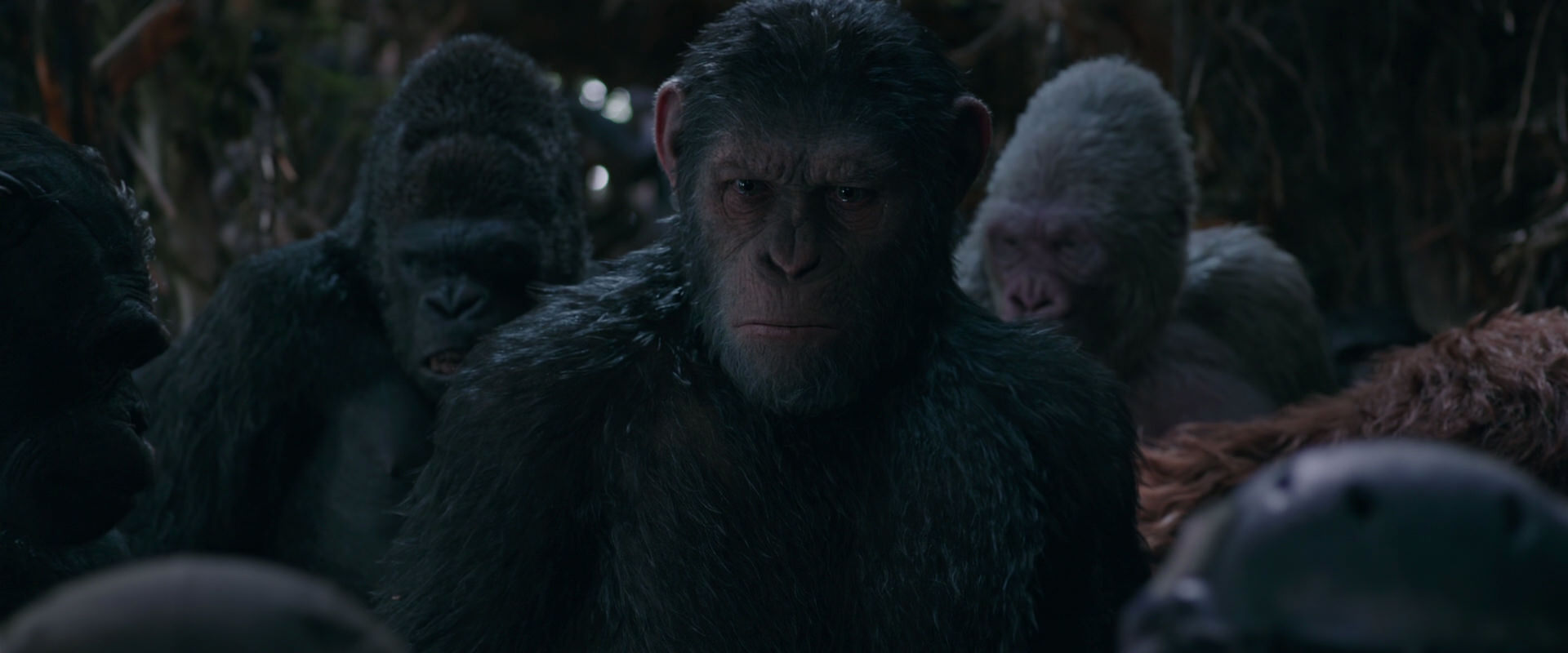 War for the Planet of the Apes (2017) HD screenshot 998