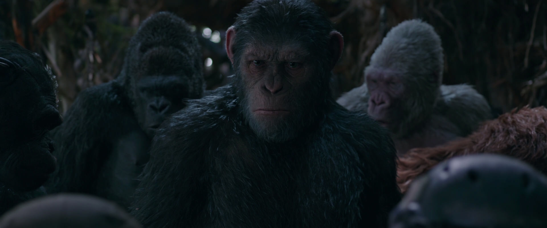 War for the Planet of the Apes (2017) screencap 999