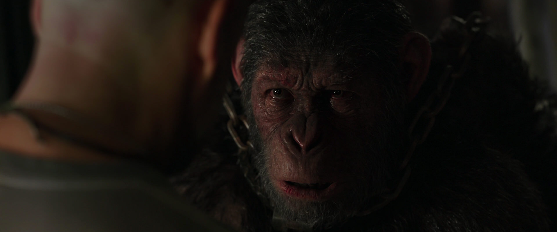 War for the Planet of the Apes (2017) movie still 9997