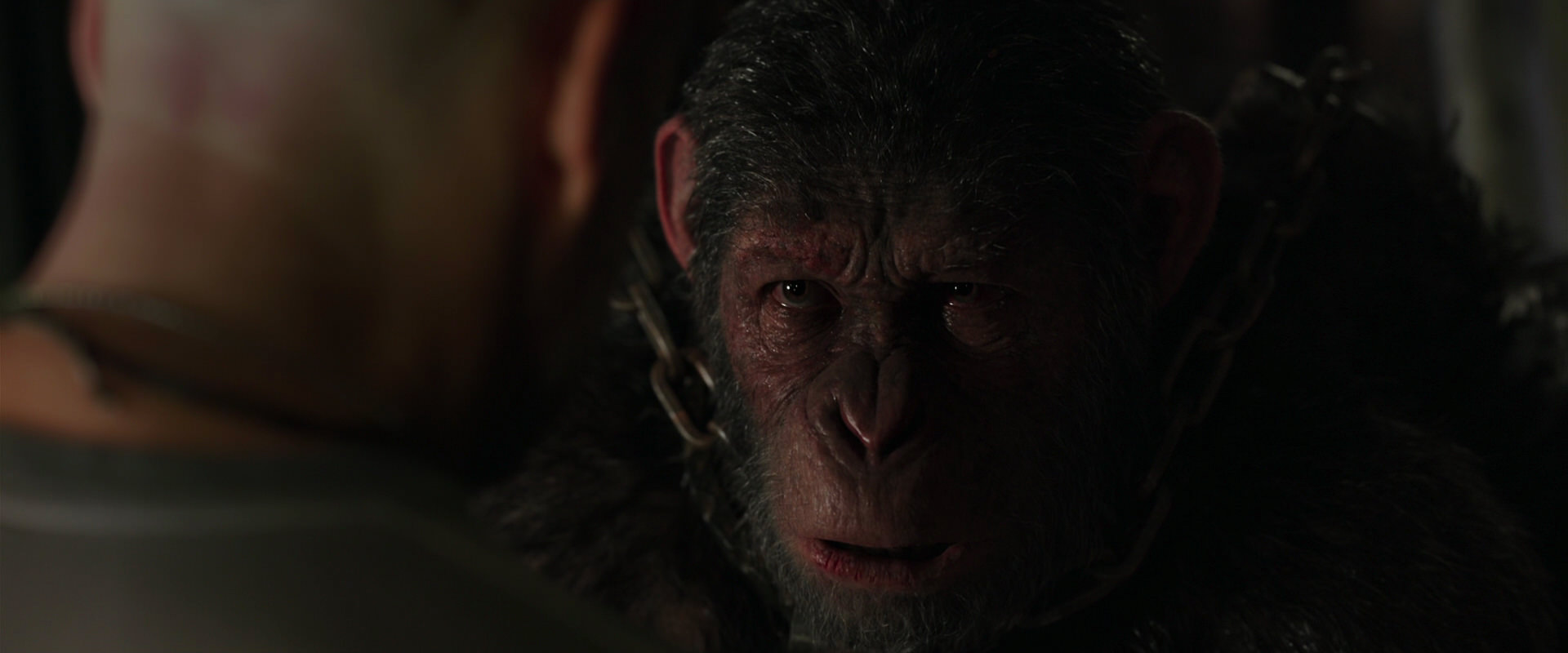 War for the Planet of the Apes (2017) HD screenshot 9998