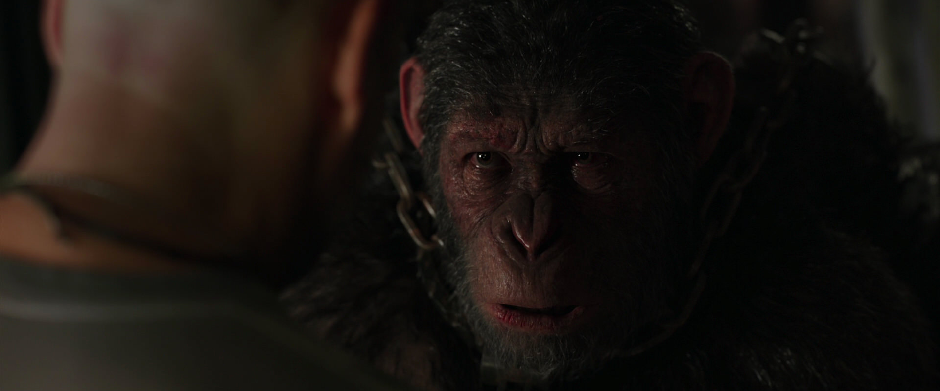 War for the Planet of the Apes (2017) screencap 9999