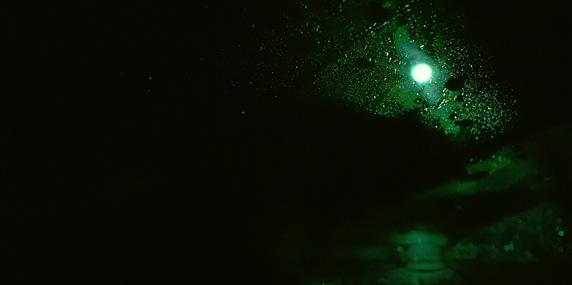 Green Book (2018) HD screenshot 10010