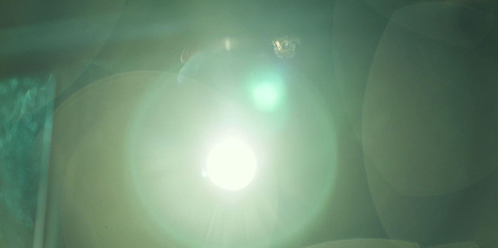 Green Book (2018) HD screenshot 10097