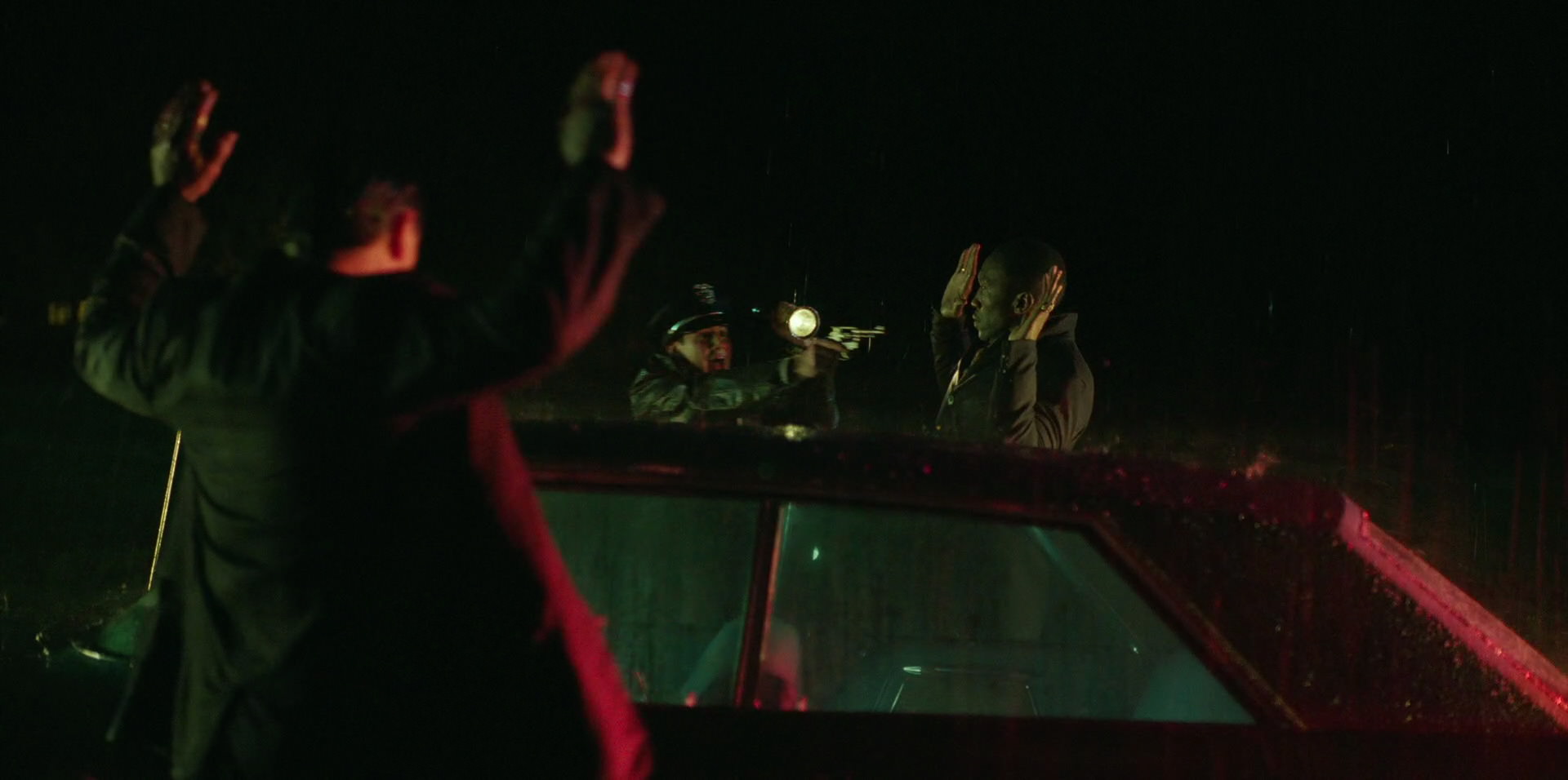 Green Book (2018) HD screenshot 10256