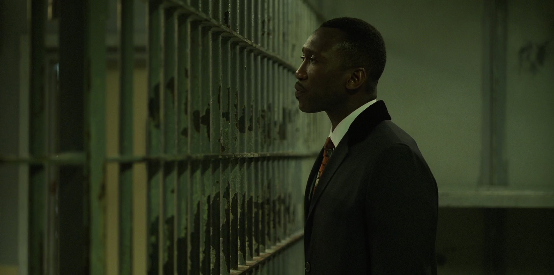 Green Book (2018) HD screenshot 10313