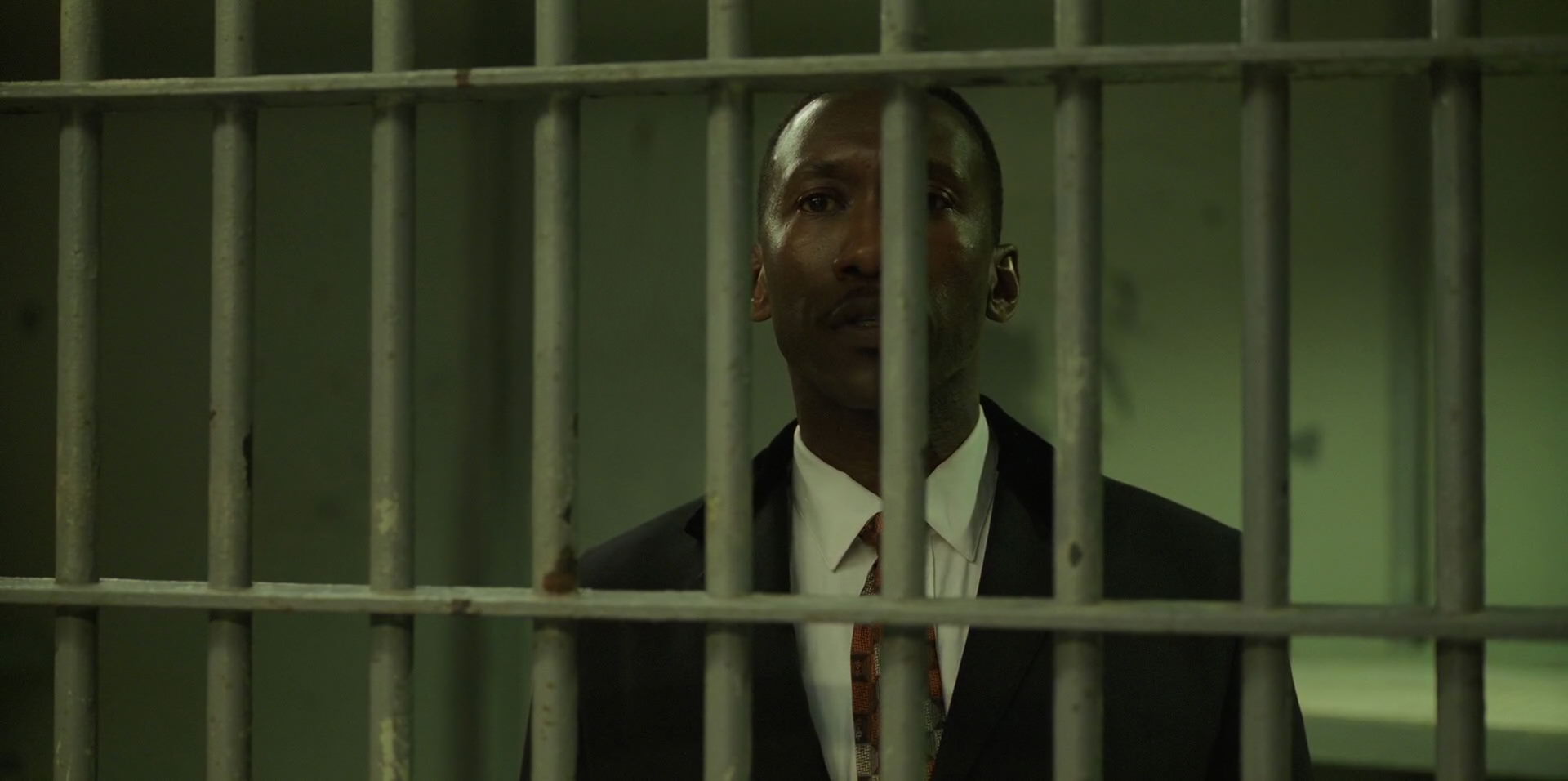 Green Book (2018) HD screenshot 10331