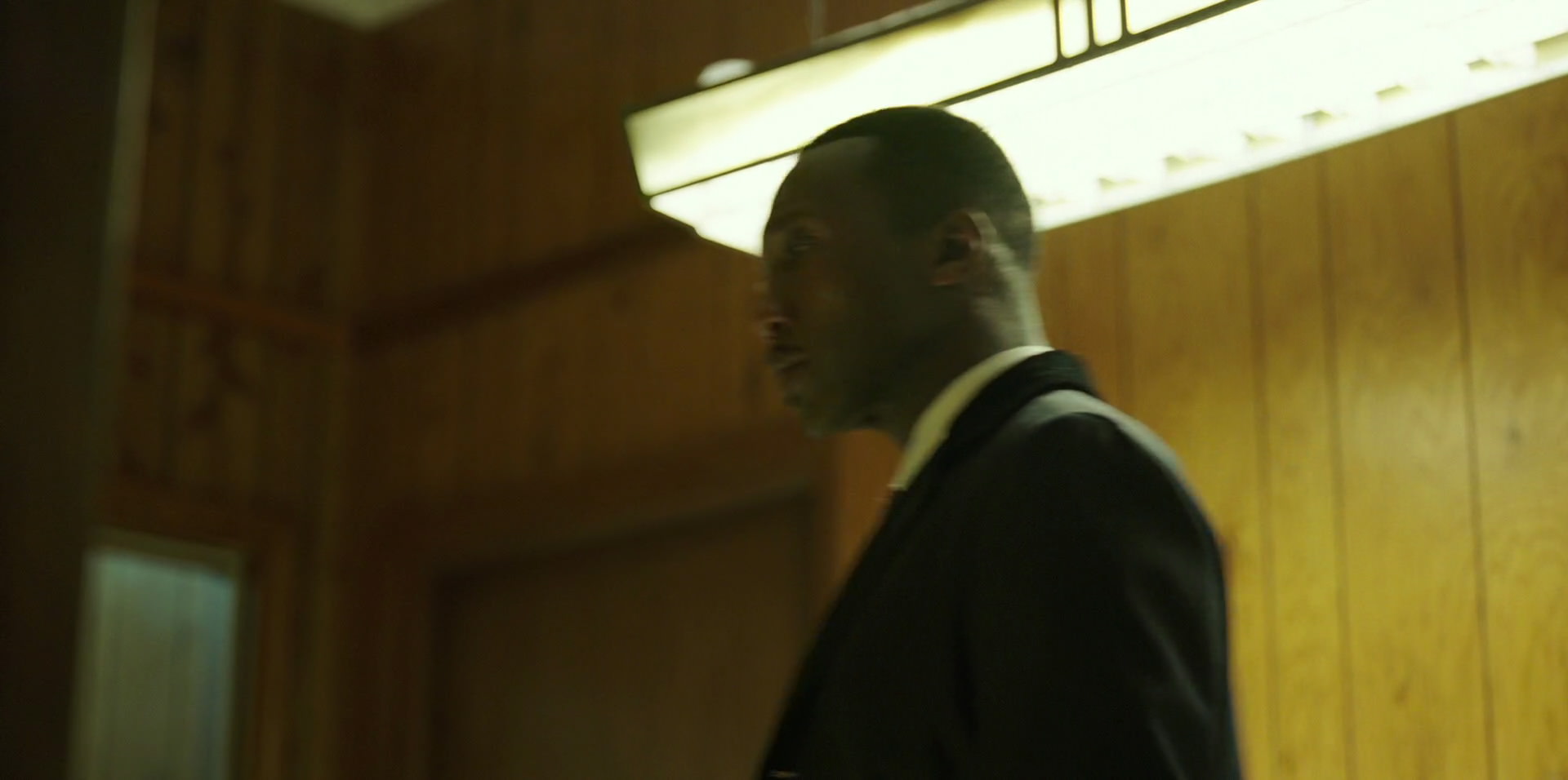 Green Book (2018) movie still 10396