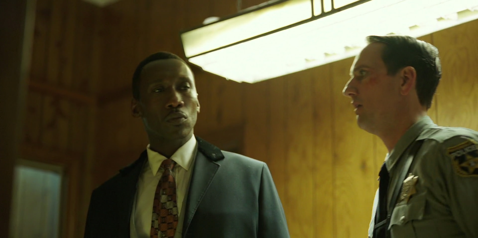 Green Book (2018) HD screenshot 10400