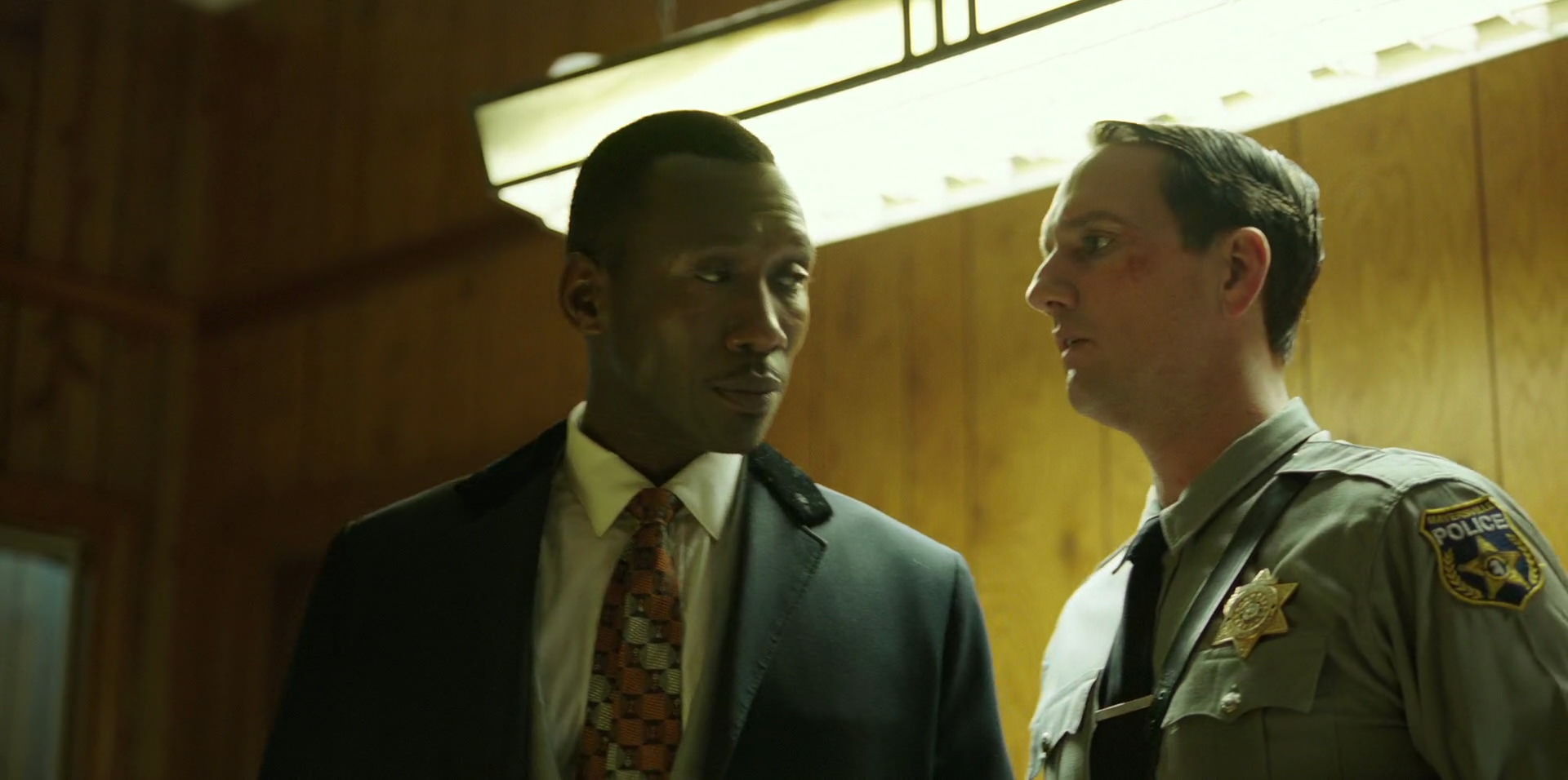 Green Book (2018) HD screenshot 10403