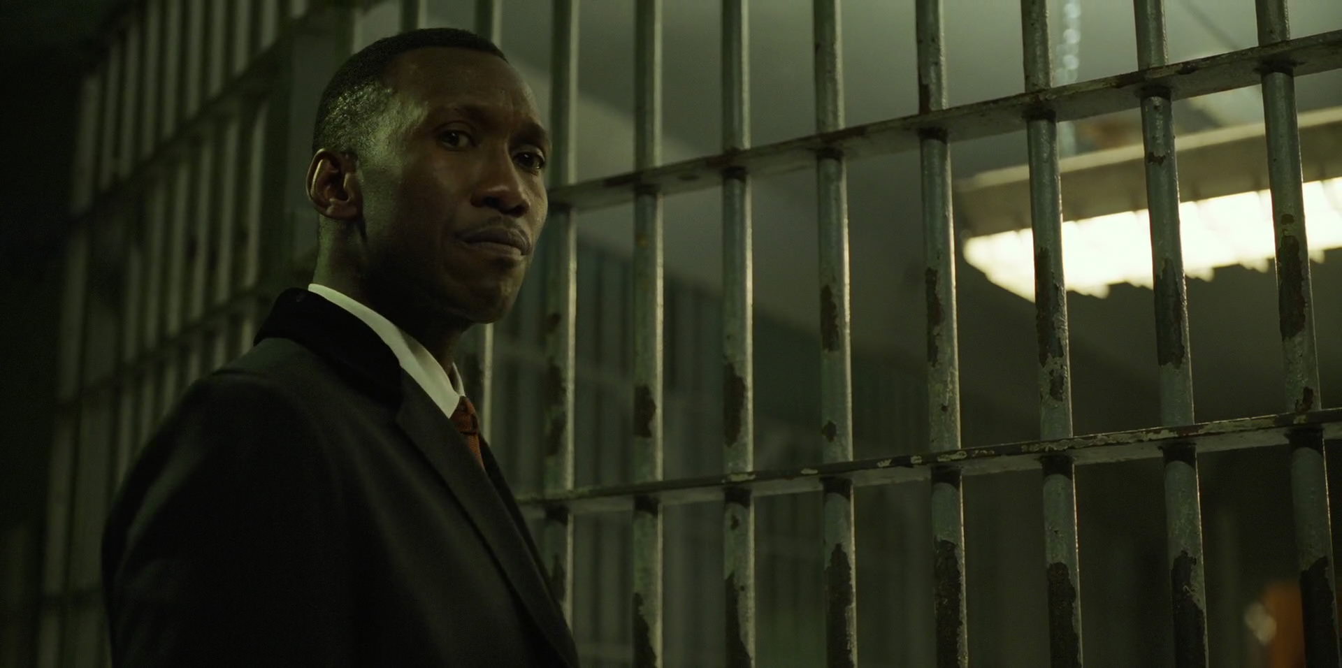 Green Book (2018) HD screenshot 10454