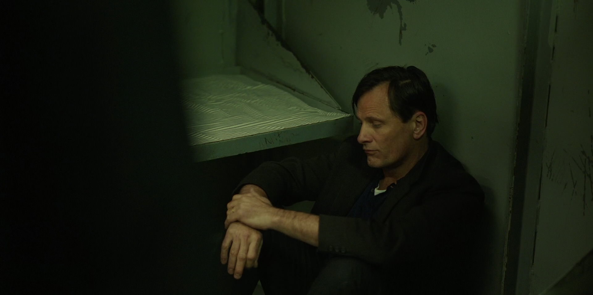 Green Book (2018) HD screenshot 10484