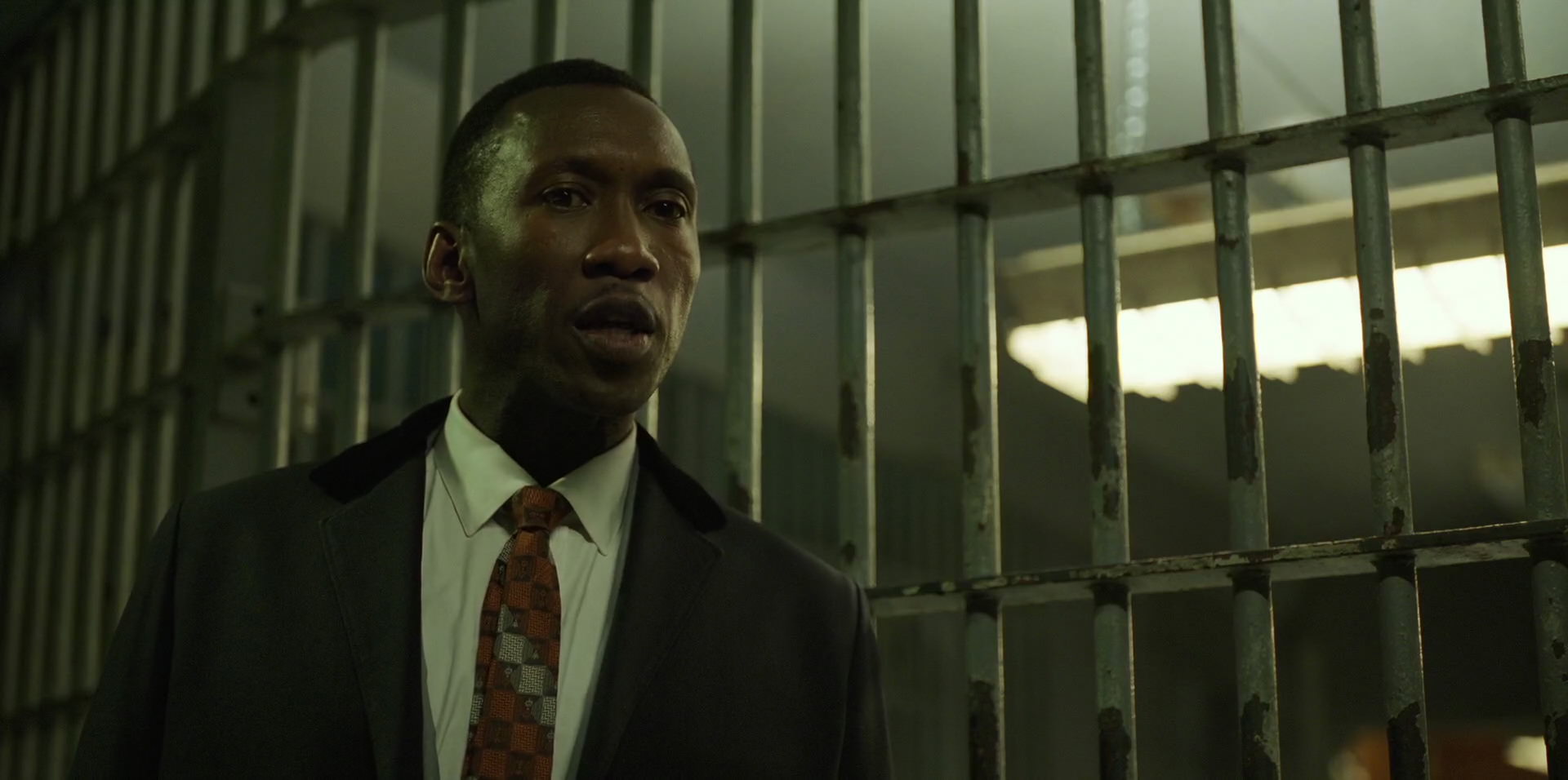 Green Book (2018) HD screenshot 10502